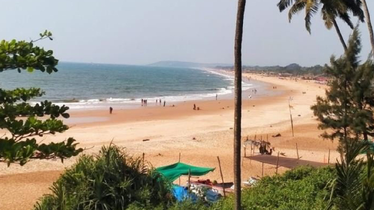 Фото: Галина Ерофеева