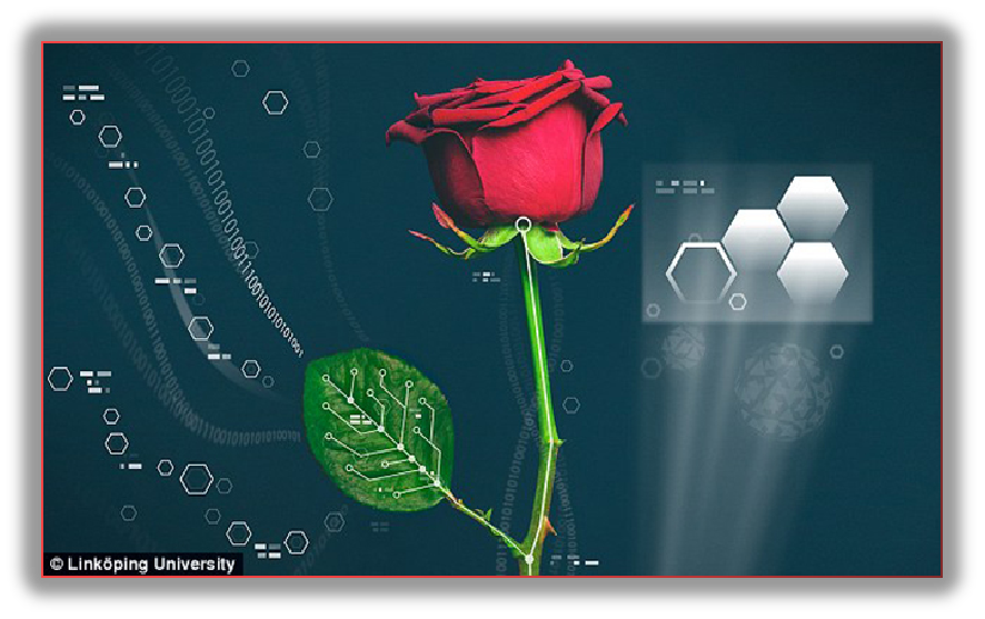 Предмет физика.