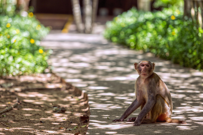 Фото: Xu Xiaohu / Zuma / TASS