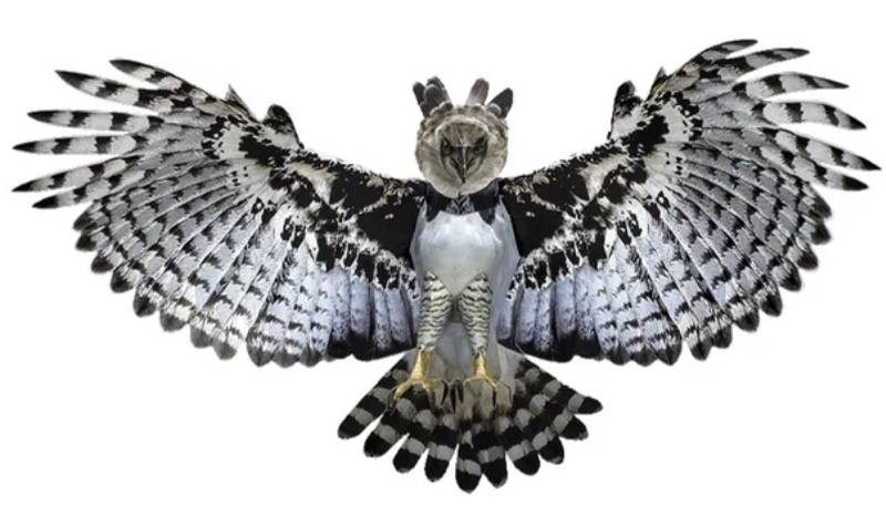 Я его не съем и уж не обижу..Я буду любить его..