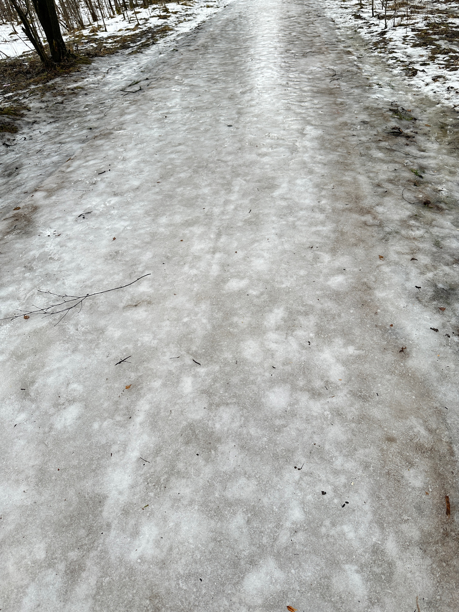 На лесной дорожке сейчас - хоть стой, хоть падай. Или пляши.