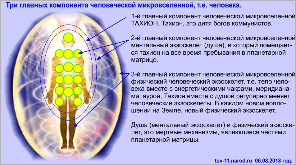 Программы матрицы для взращивания тахионов, искр божьих.