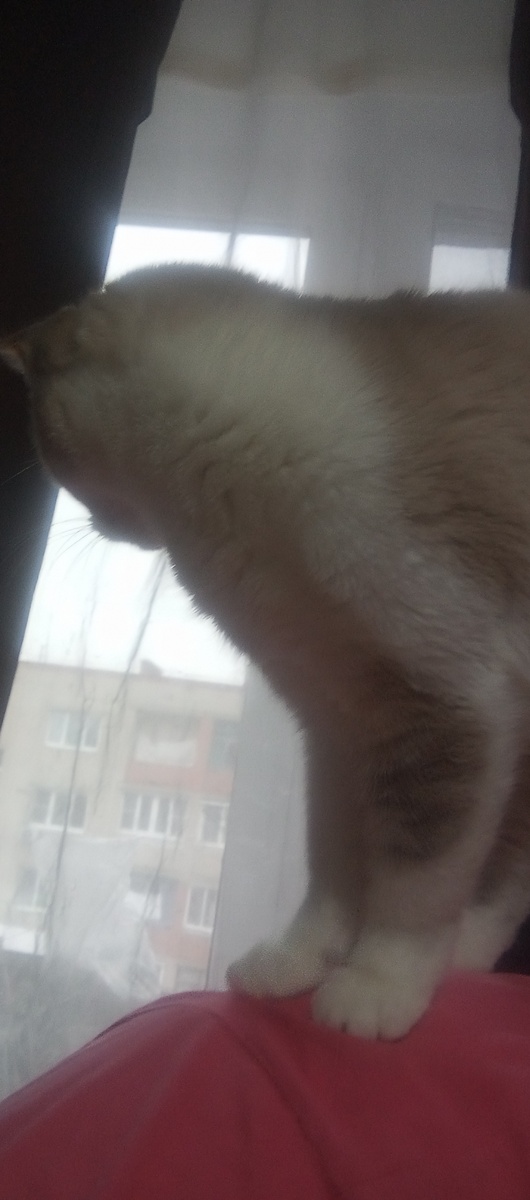 Личное фото автора канала