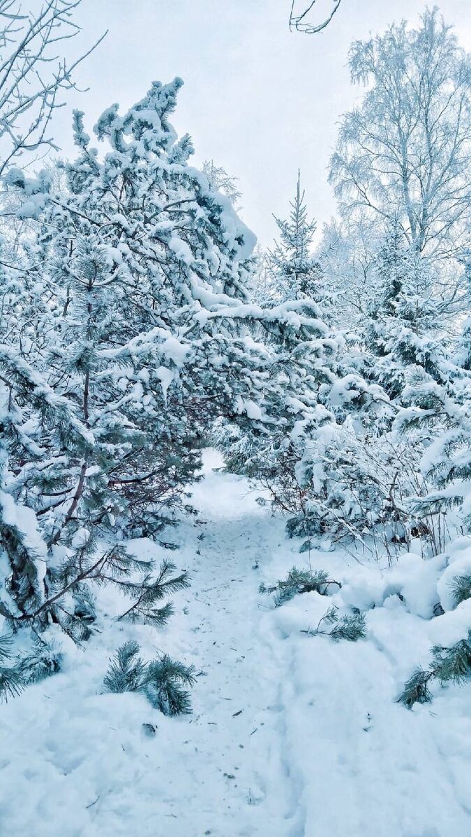 Личное фото автора канала