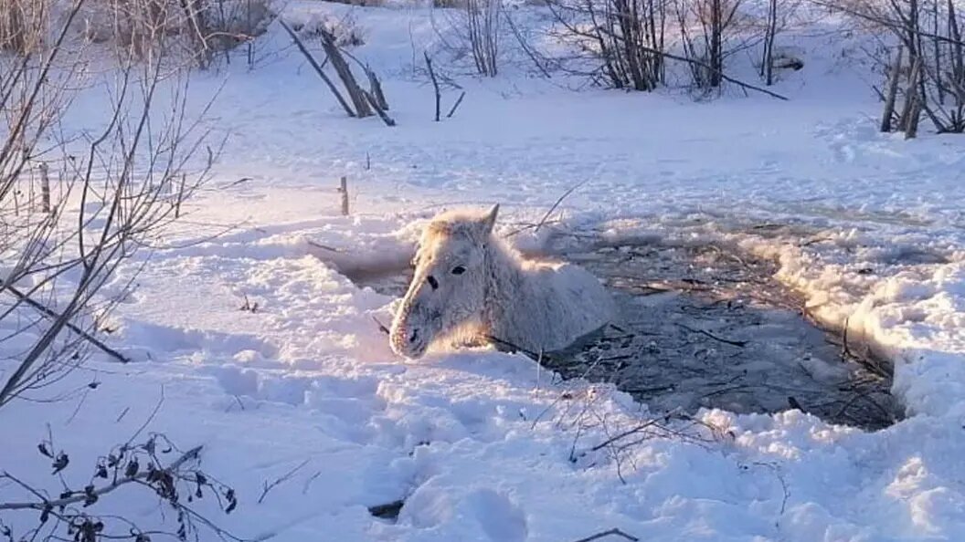    Фото: Андрей Баранов/Локомотивный отряд ПСС Челябинской области.