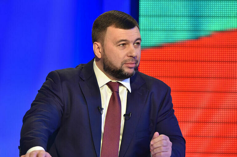   denis-pushilin.ru