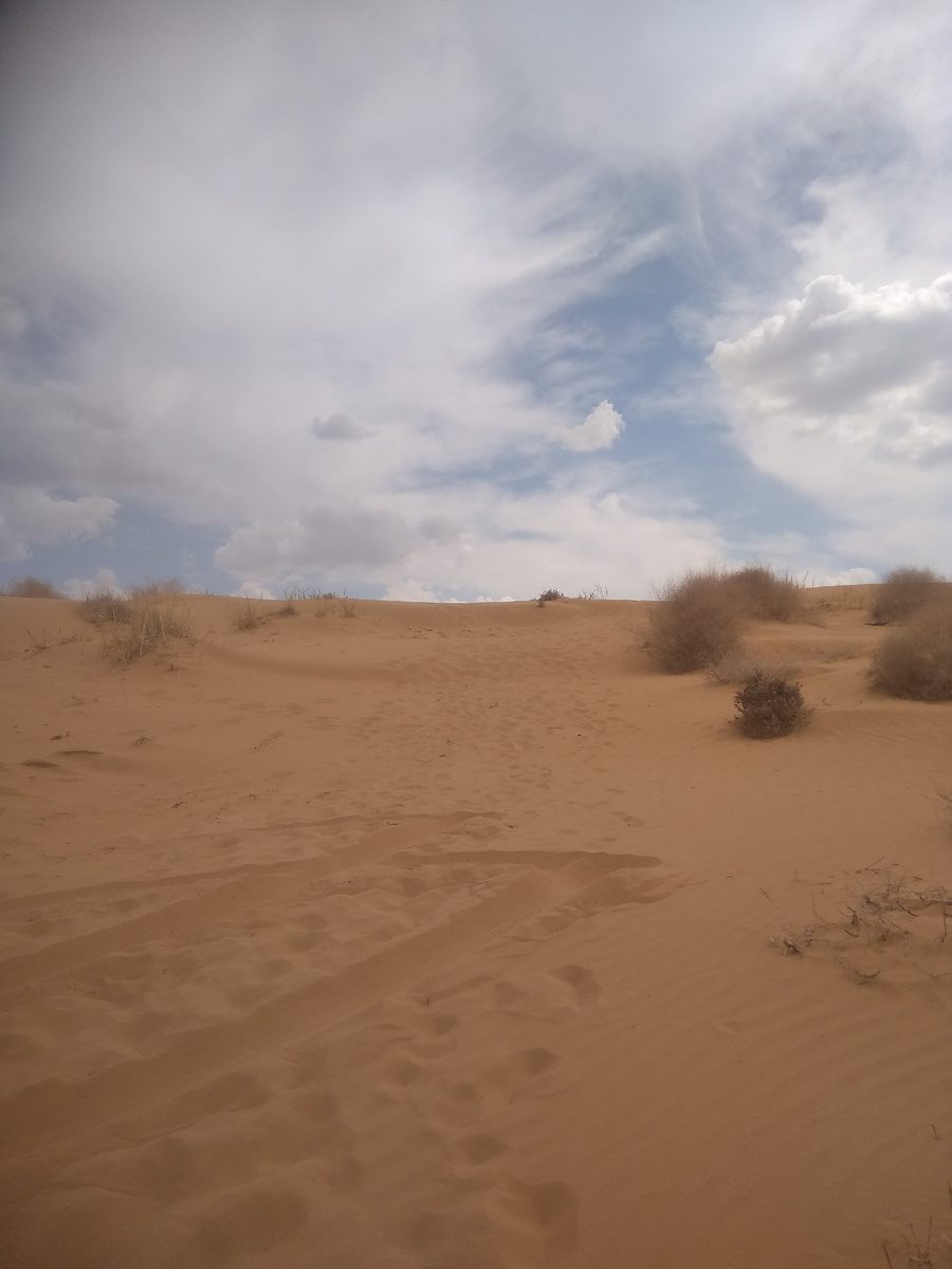 На подъезде к Элисте можно повстречать настоящие пески пустыни