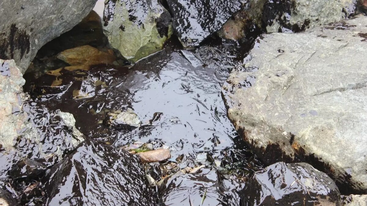 Источник https://avatars.dzeninfra.ru/get-zen_doc/271828/pub_678a2fcbfd59350cc9c4ff31_678a3029fd59350cc9c52970/scale_1200