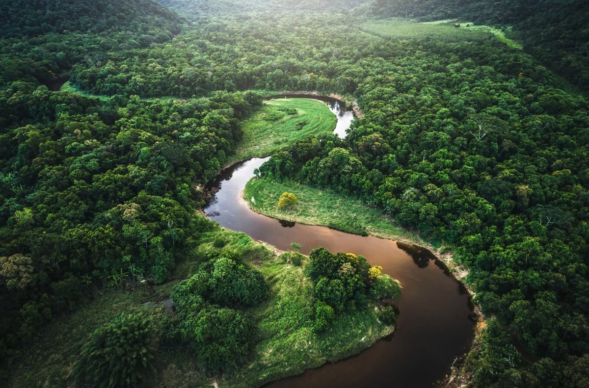    Ученые узнали кое-что неожиданное о реке Амазонка. Источник изображения: Science Alert