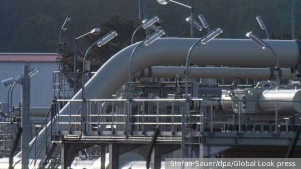     Фото: Stefan Sauer/dpa/Global Look press   
 Текст: Вера Басилая