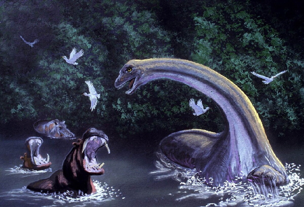 Из свободного доступа