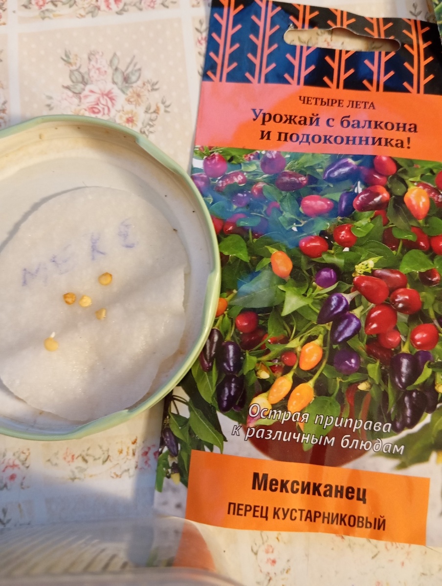 Самый быстрый перец - пророс за 3 дня! Обычная пачка из Ашана. Не могла пройти мимо, хотя, вроде бы уже накупила кучу семян в интернете