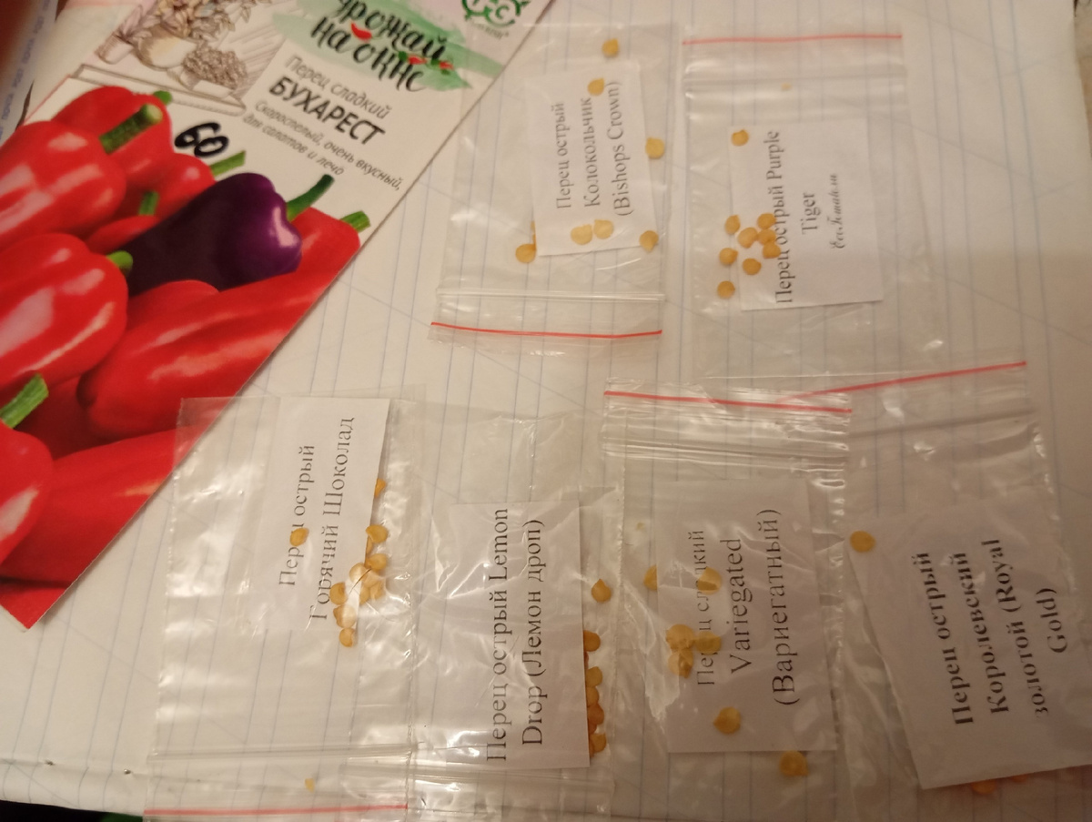 Семена перцев от коллекционера и семена из магазина, промышленные. Всхожесть зависит от сроков и качества самих семян