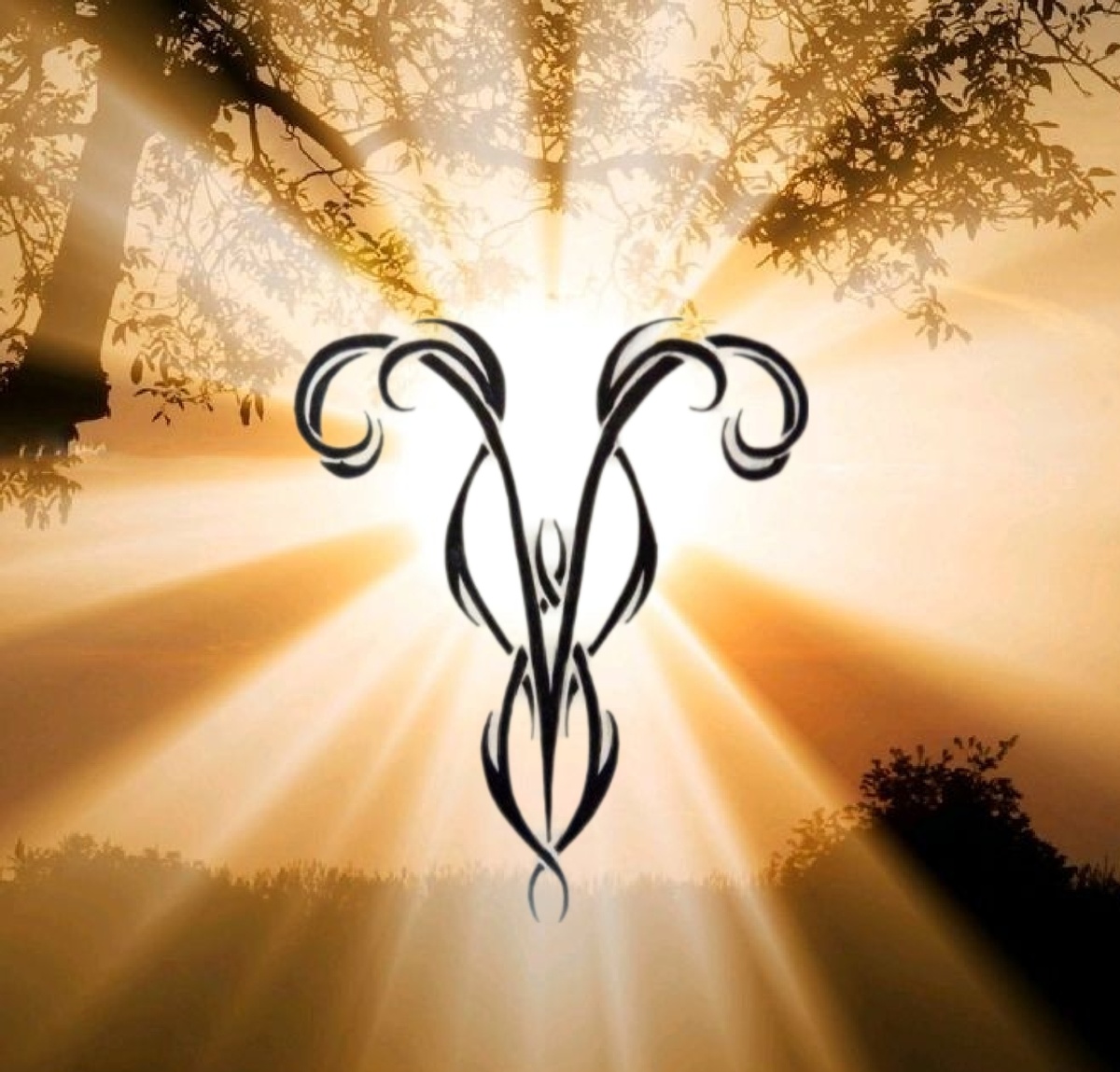 Коллаж автора