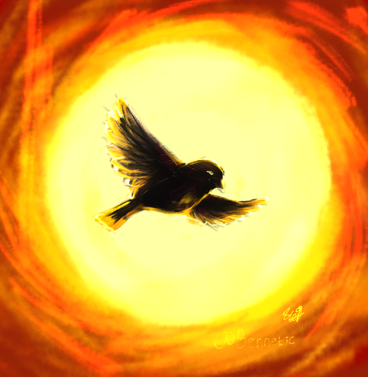 Воробей на фоне Солнца