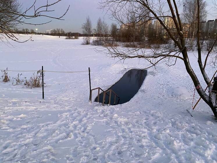     Волков призвал верующих набраться внутреннего благоговения и окунаться в купель с молитвой и верой. Фото: «МК в Великом Новгороде»