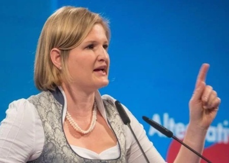    В Германии призвали устроить комплексную ремиграцию украинцев