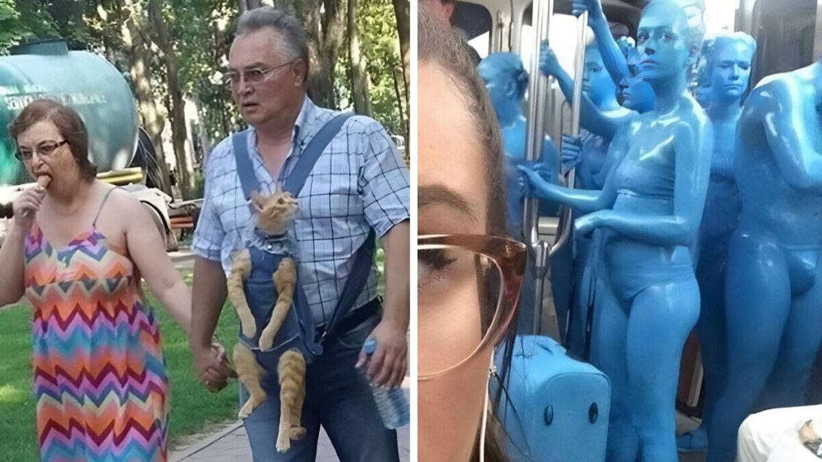 Источник Яндекс Картинки.