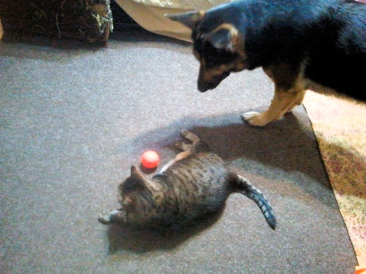 Фото автора