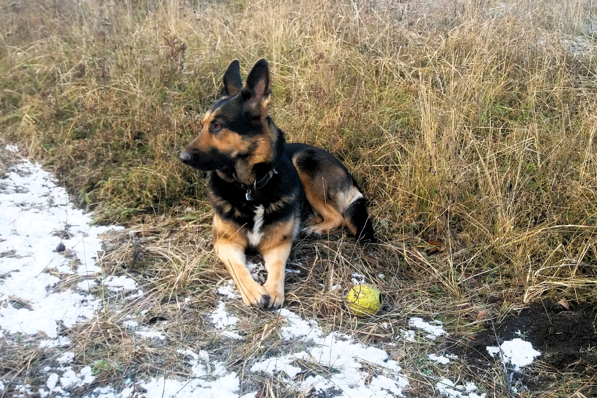 Фото автора