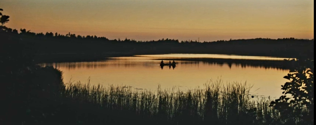 Охота на рыбалке...