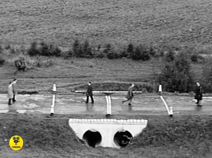 Из открытых источников.