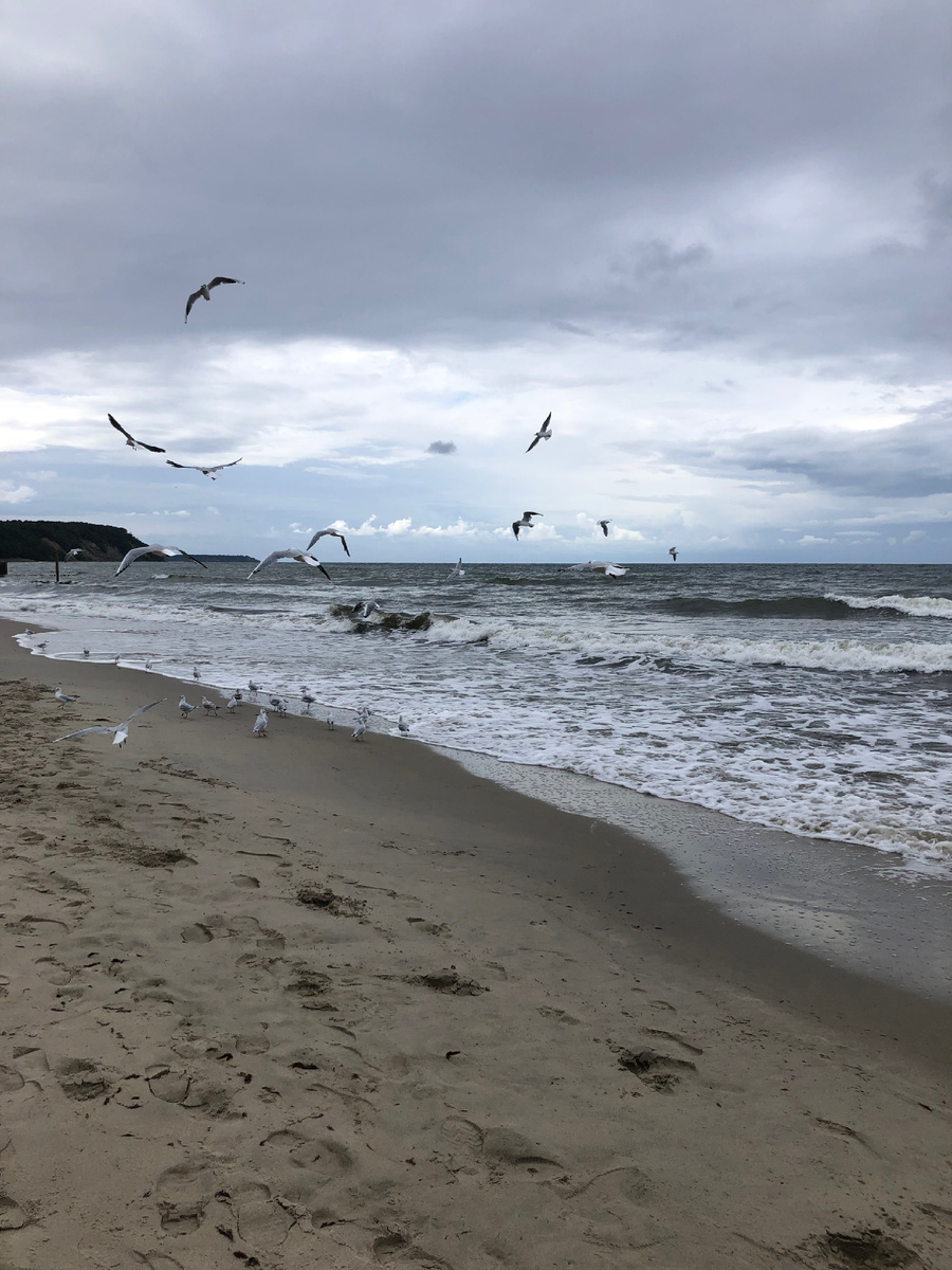 Жаль фото не передает бриз и истеричные «песни» чаек