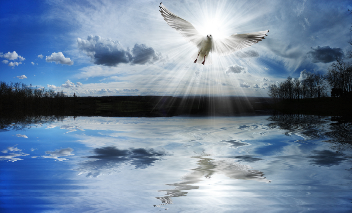 Изображение из открытых источников