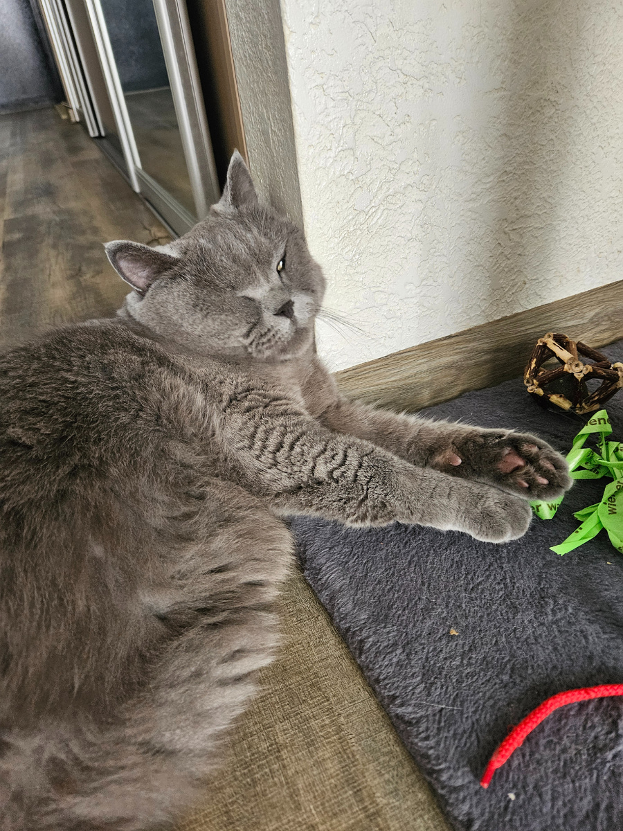 Прилёг отдохнуть после тяжёлых игр