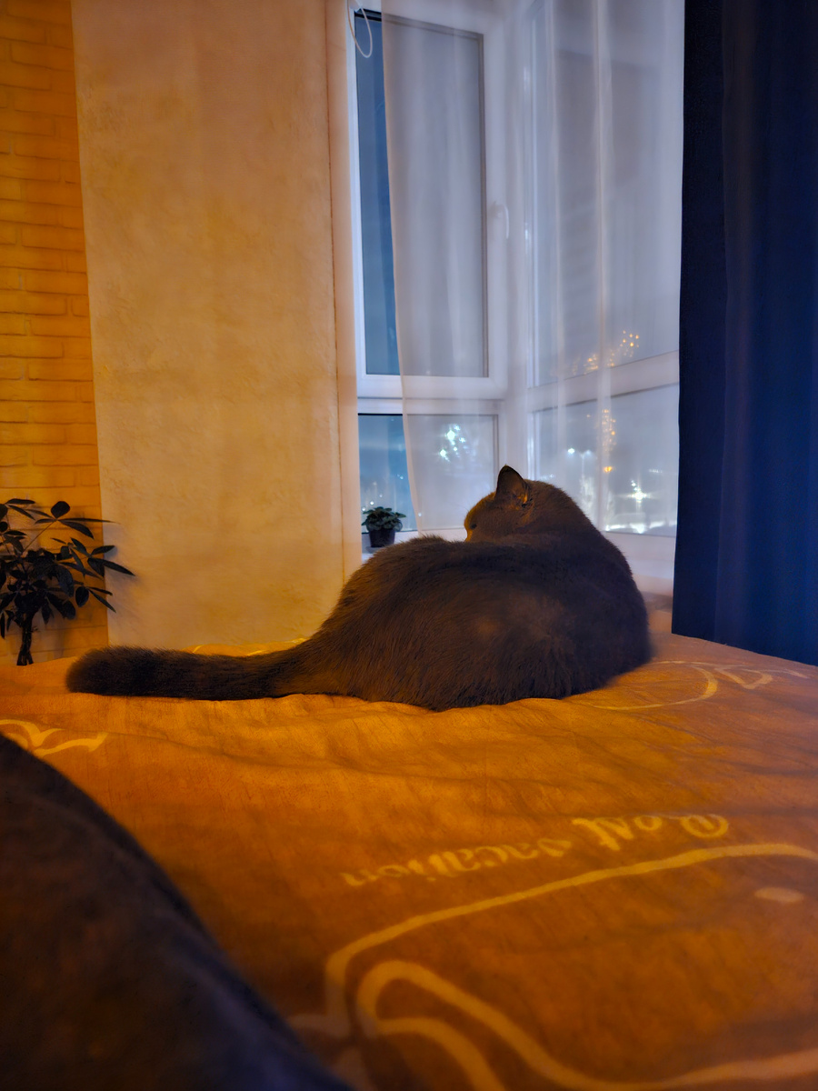 Место ночного сна 