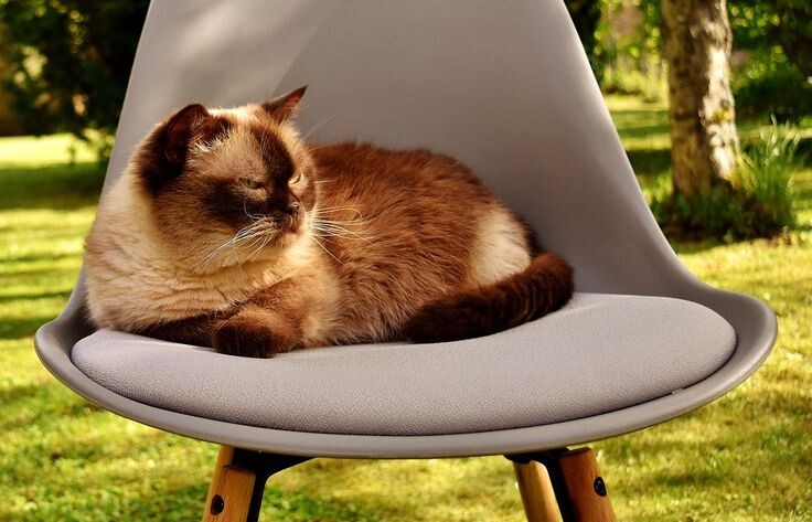 Фото из Интернета.