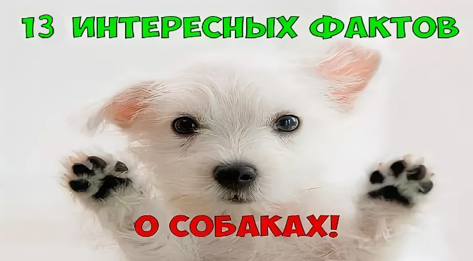 Подпишись)