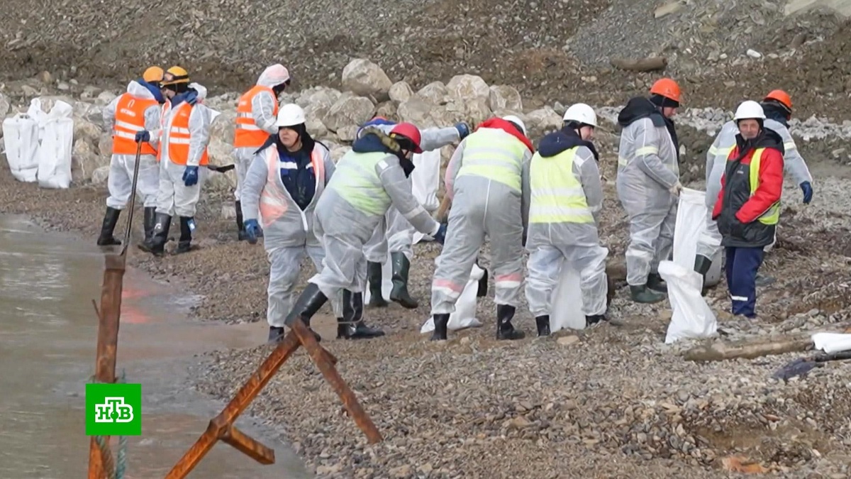    Новые выбросы мазута зафиксировали на пляжах Анапы и под Темрюком