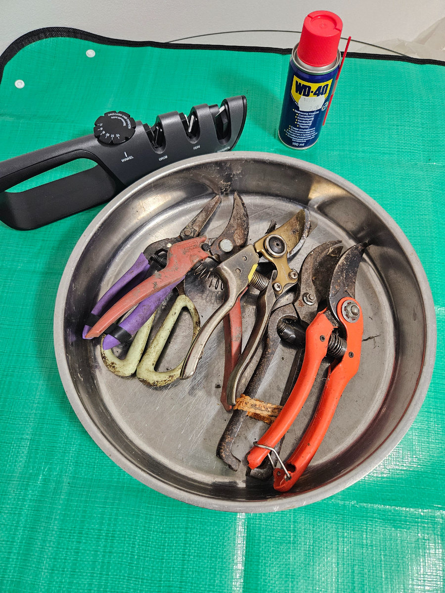 Садовые ножницы и секаторы до ухода