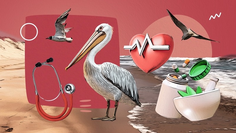      Фото: Анна Егазарян / / ИА «Победа26»