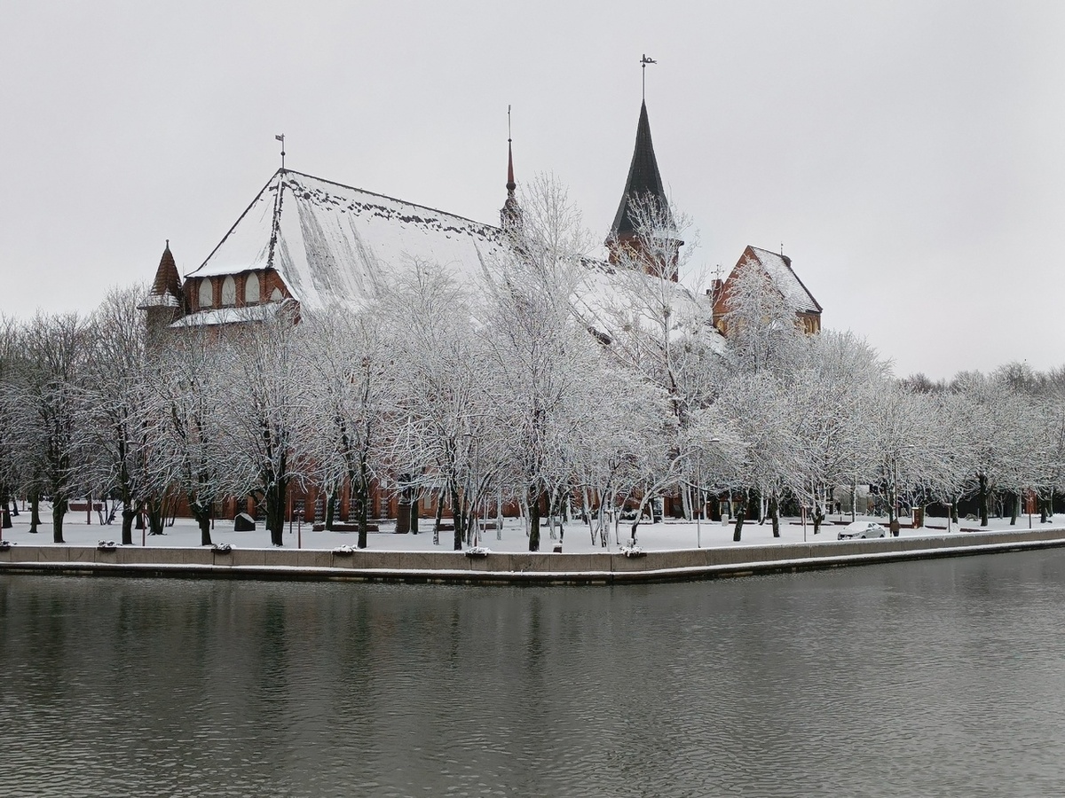 Калининград в снегу - редкое зрелище!