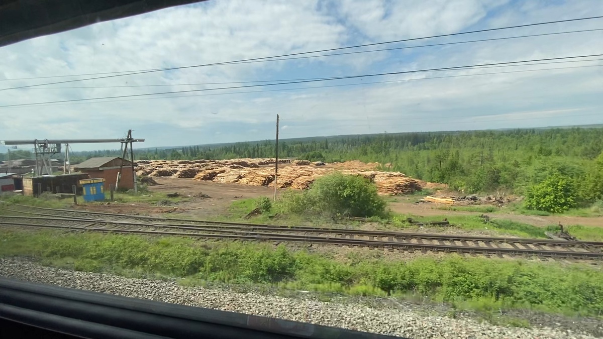 Заготовленный лес.