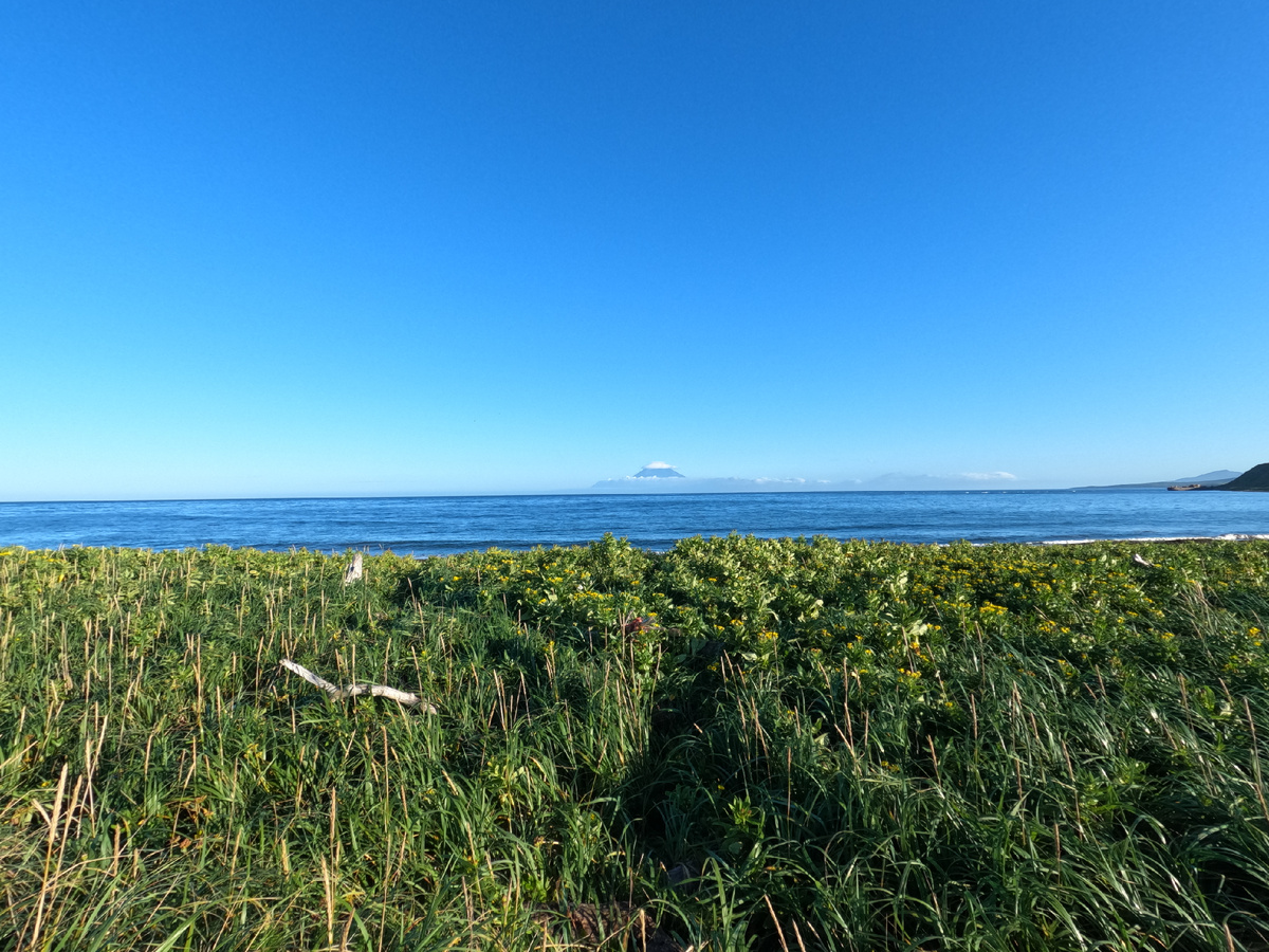 Вроде как тропа на берег выходит, но там не пройти - черт ногу сломает, в траве завал