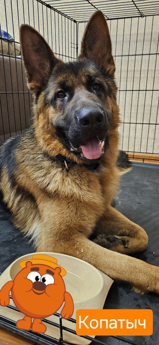 Назвала Копатыч🤣🤣🤣