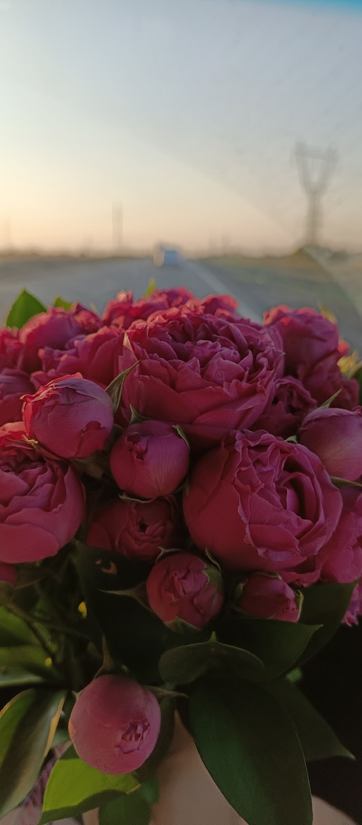 Красивый вам букетик для настроения. Мой свадебный. На удачу