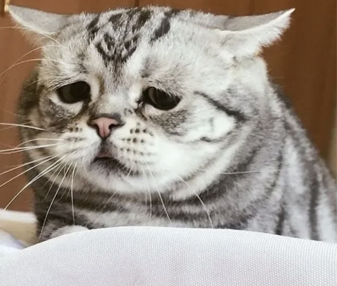 Картинка из интернета.