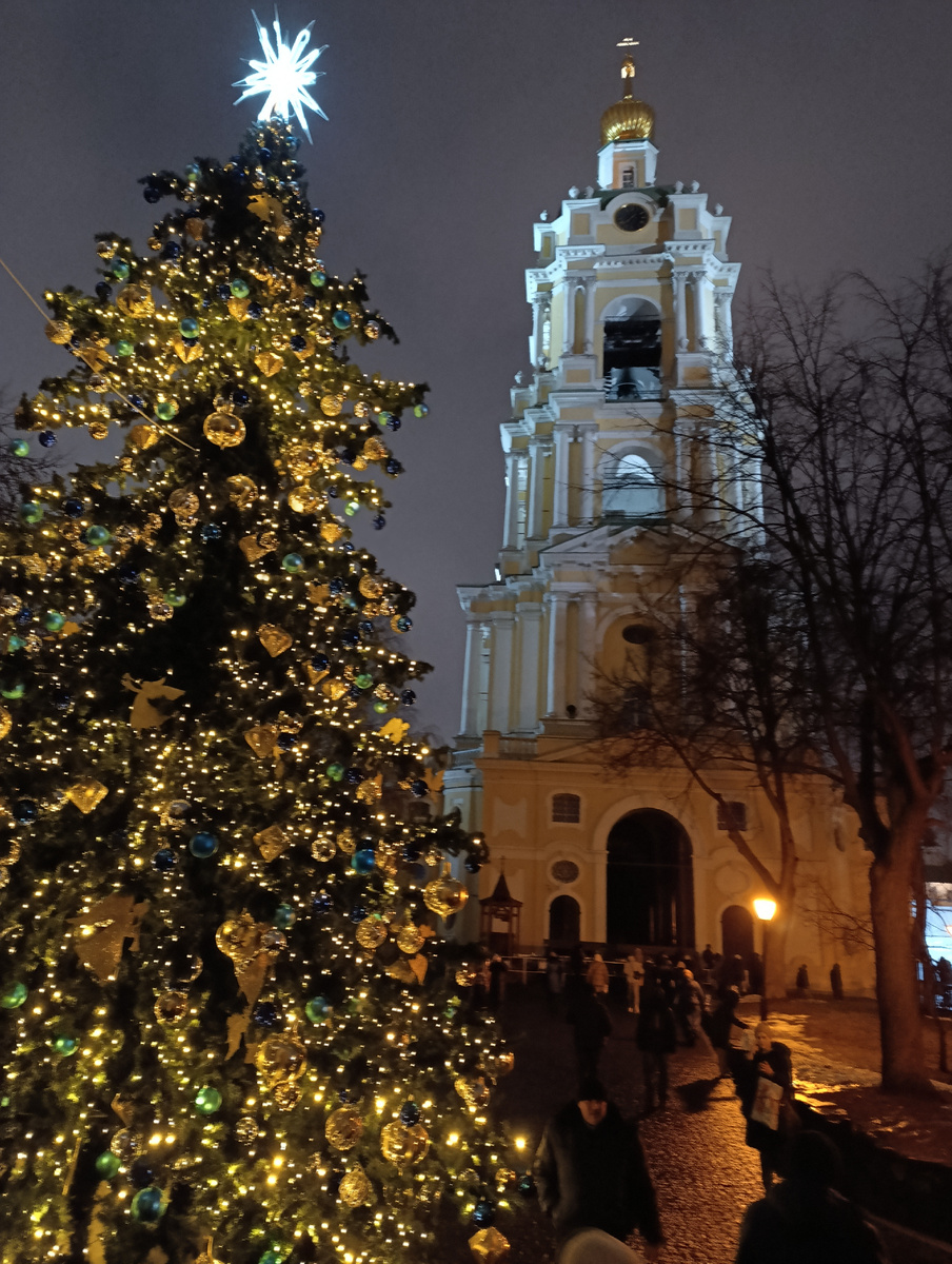 Новоспасский монастырь. Фото автора 