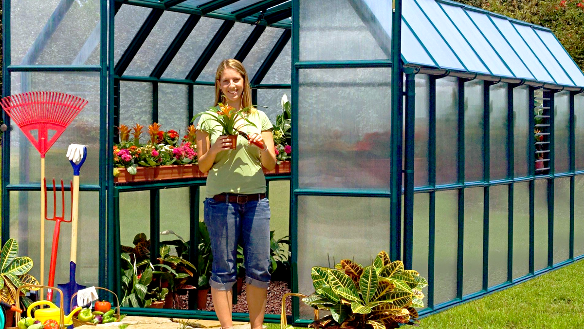 Теплицу  на металлическом каркасе регистрировать не нужно