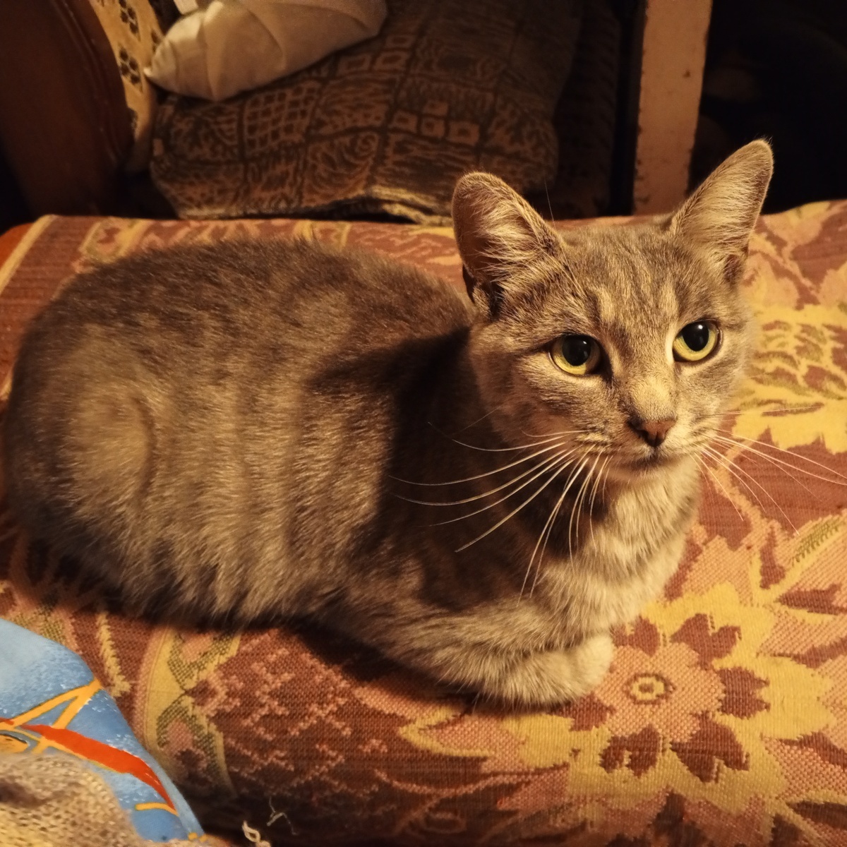 моя Муся, прообраз Мурки, главной героини цикла.