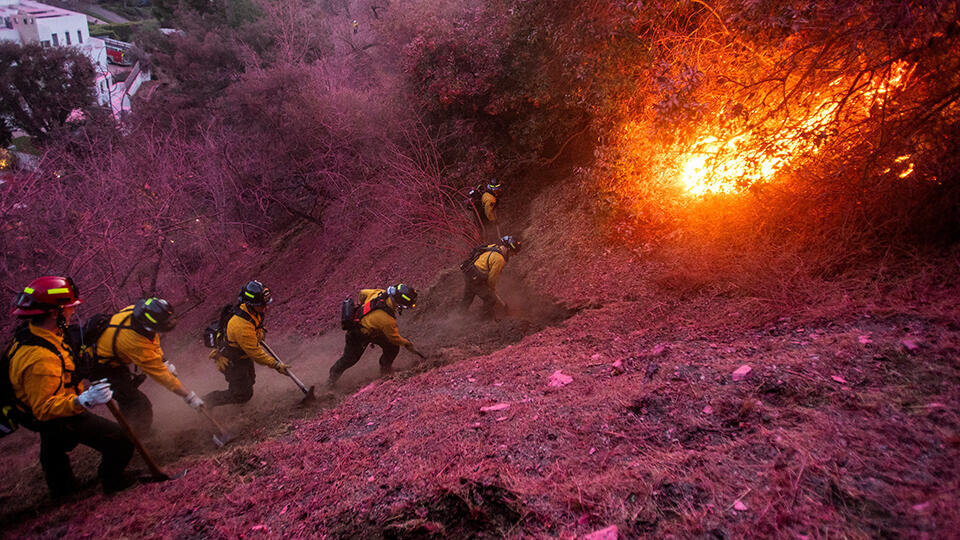     Лос-Анджелес в огне: почему США не могут потушить горящую Калифорнию REUTERS/Ringo Chiu