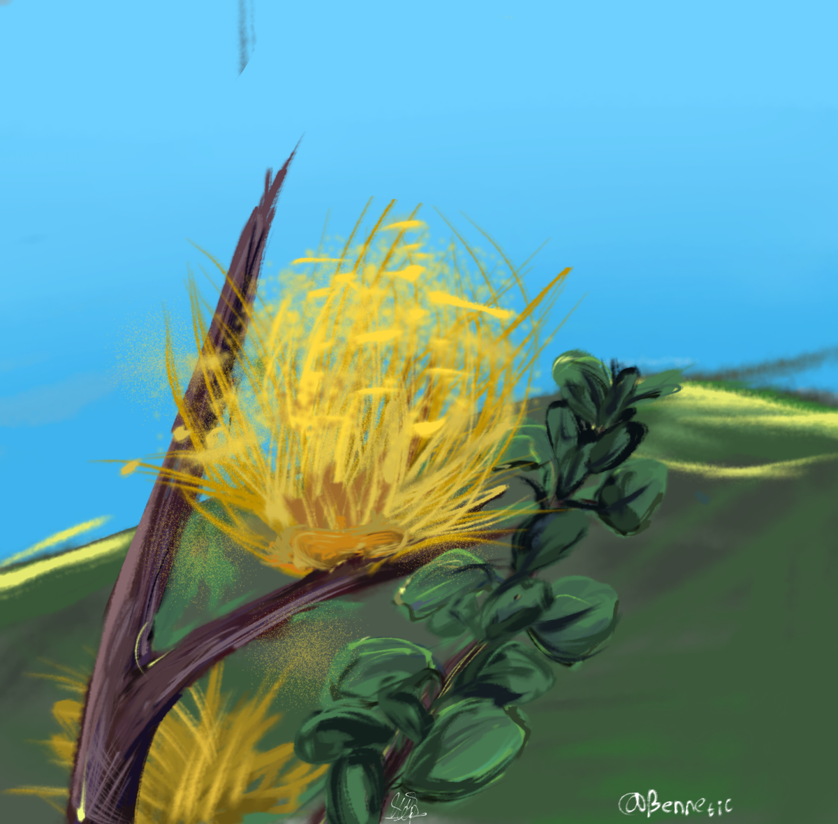 Эндемик Гавайских островов - охиа