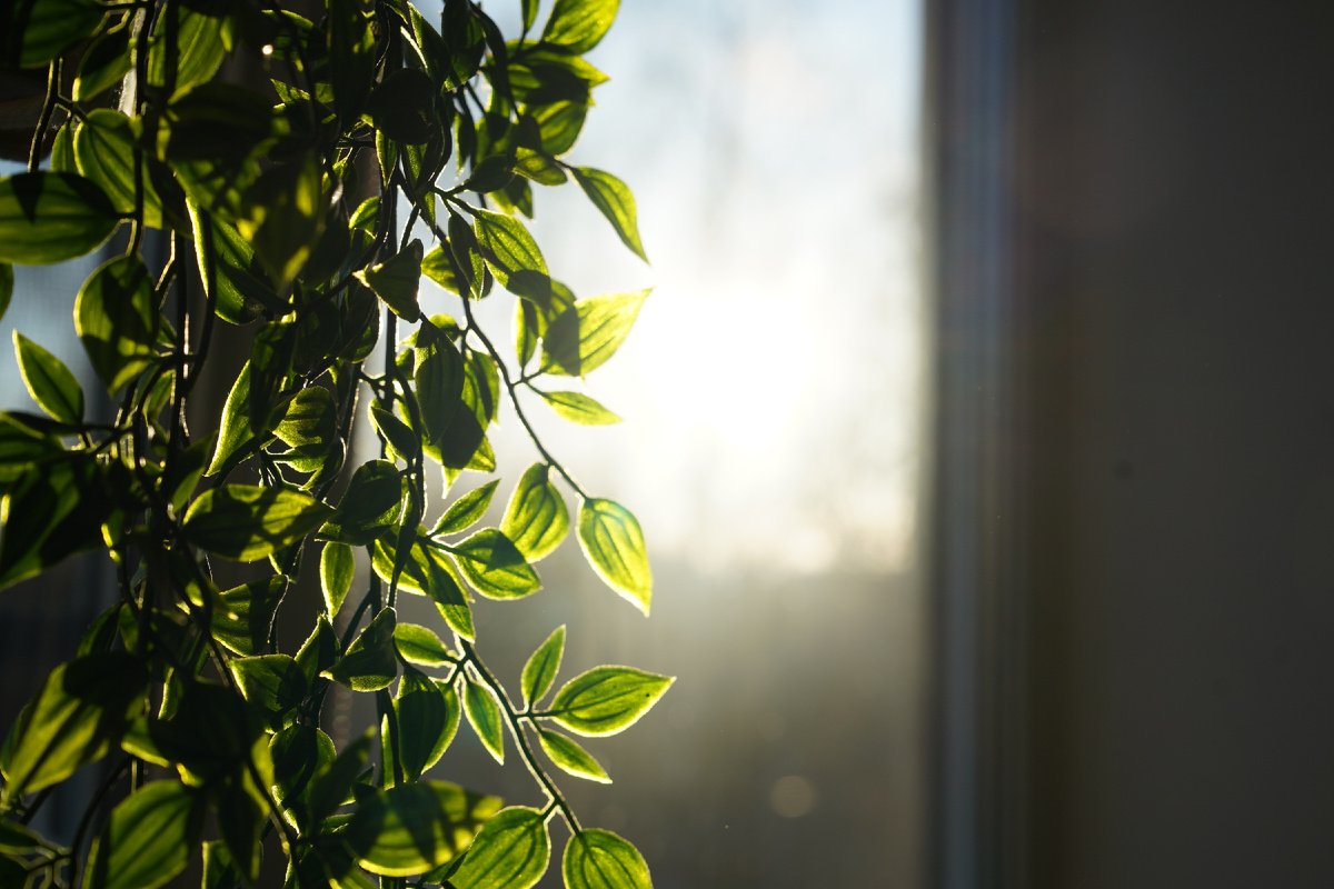 За тьмой всегда следует свет.