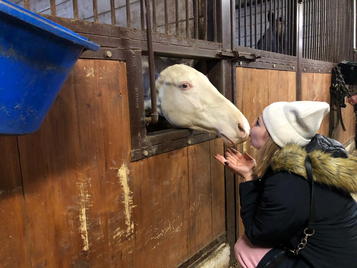 ООО "Лаг-Сервис АГРО"