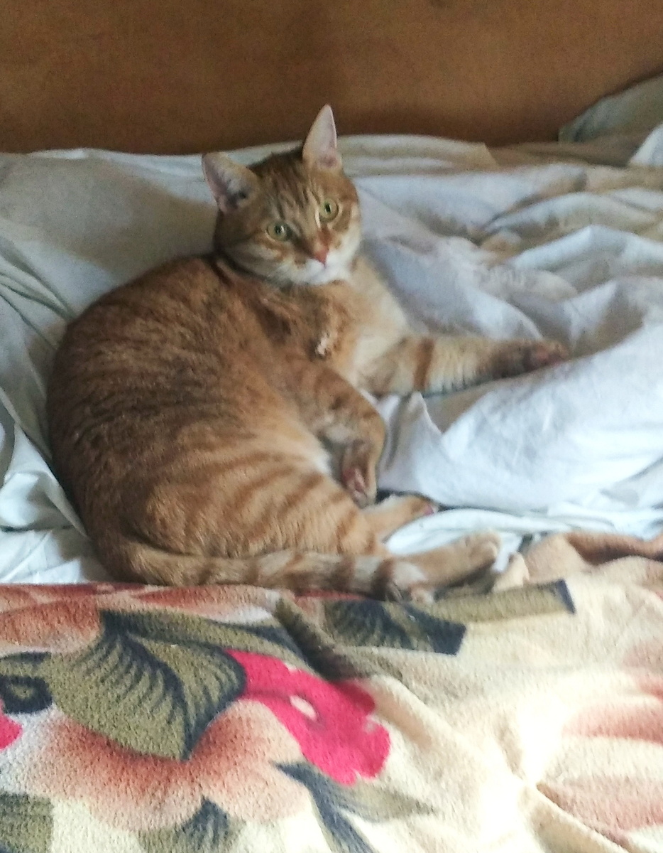 Личное фото.