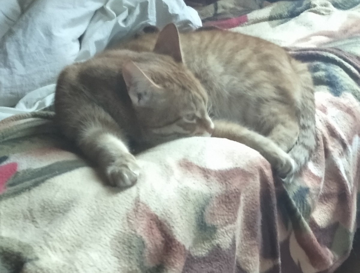 Личное  фото. 